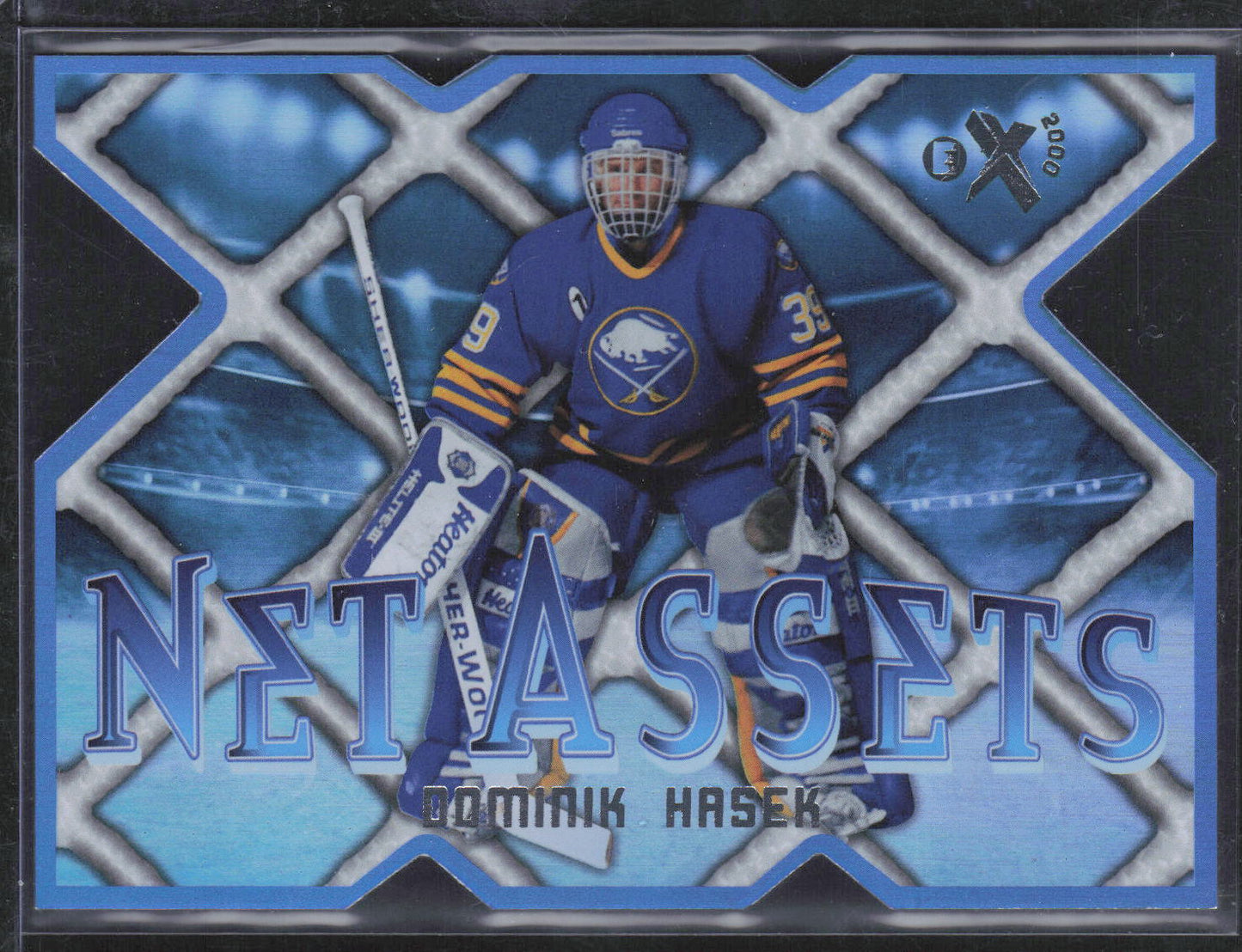 2023-24 SkyBox E-X 2000 #30 OF 30 NA Dominik Hasek Net Assets